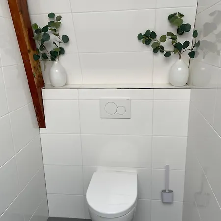 Veldhorst * 레이든