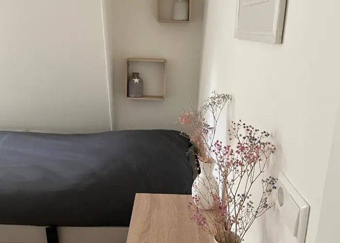 Veldhorst * 레이든