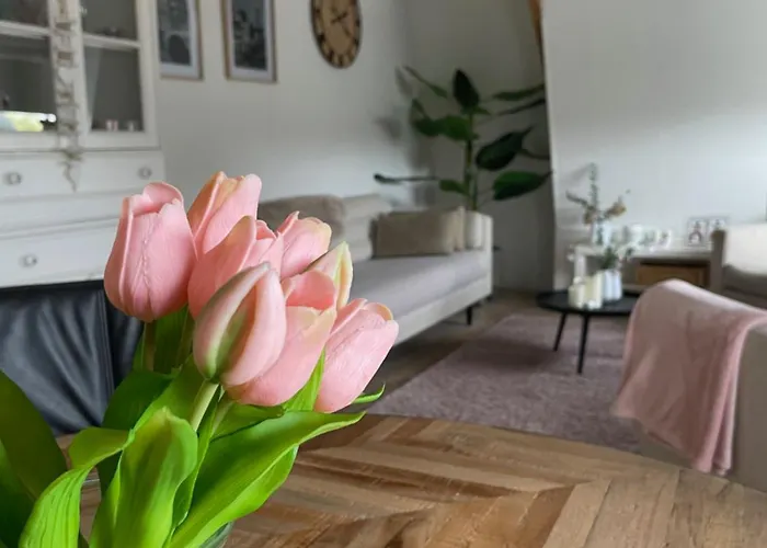 Veldhorst 아파트 레이든