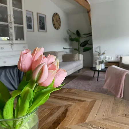 Veldhorst 아파트 레이든