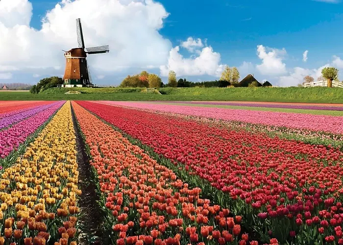 Veldhorst * ライデン