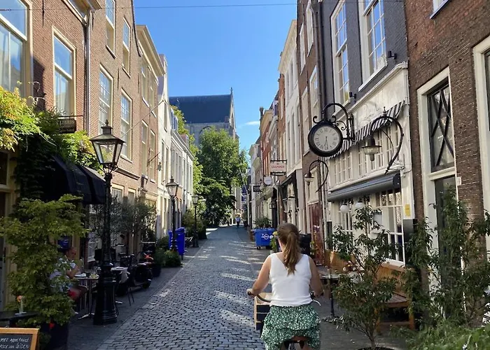 Veldhorst ライデン